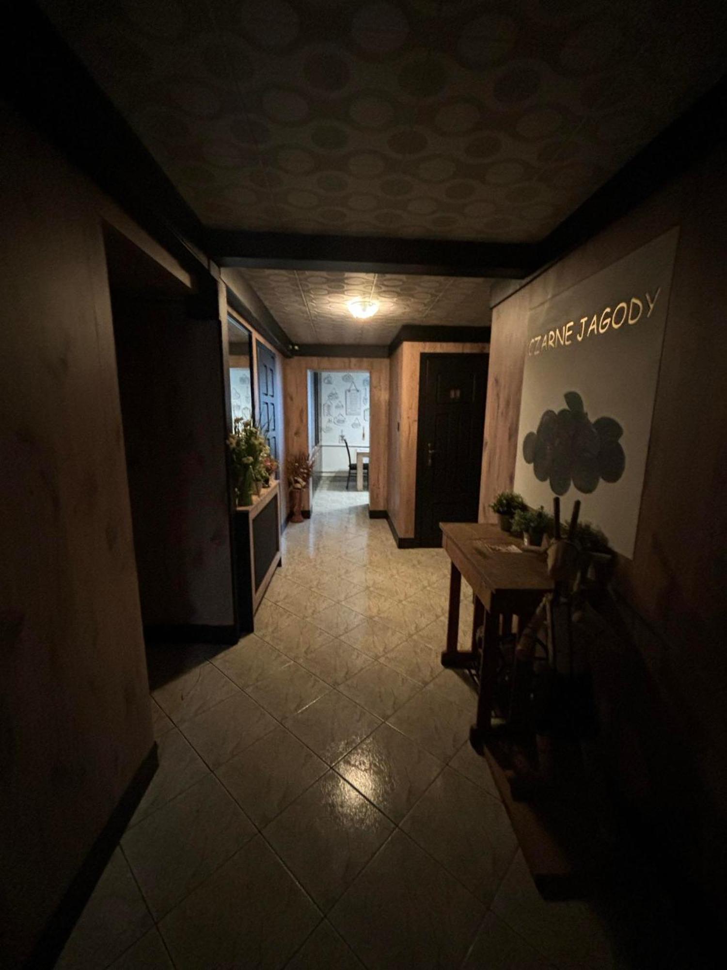 Apartamento Czarne Jagody Kościelisko Exterior foto